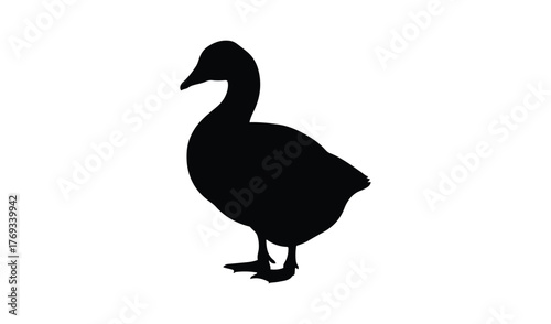 Silhouette of a duck standing isolated on a white background