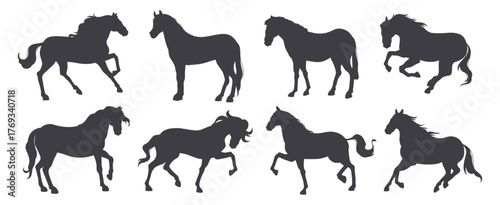 Set of horse silhouettes from various breeds. Vector collection of stallions and mares, foals in different poses. Farm or wildlife equines standing and galloping, jumping and rearing