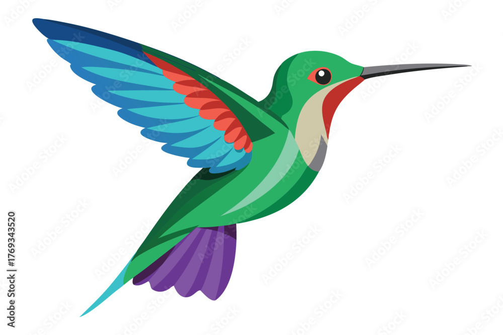 Obraz premium hummingbird vector in white background