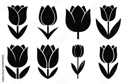 tulip silhouette vector illustration icon set