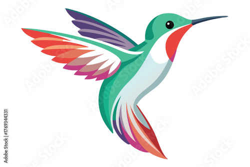 hummingbird vector in white background