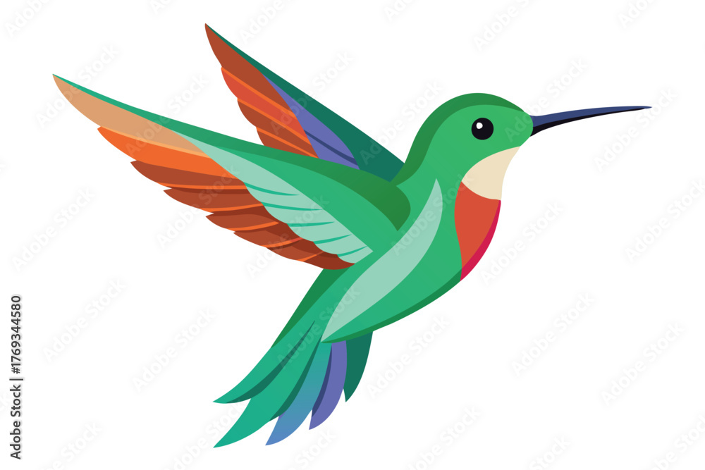 Obraz premium hummingbird vector in white background