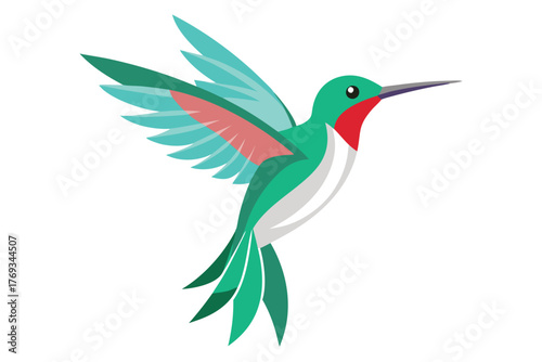 hummingbird vector in white background