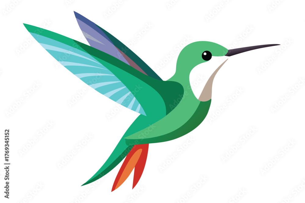 Obraz premium hummingbird vector in white background