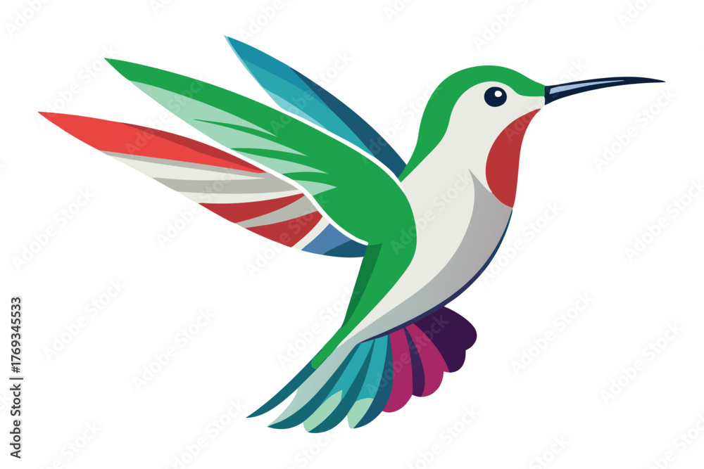 Obraz premium hummingbird vector in white background