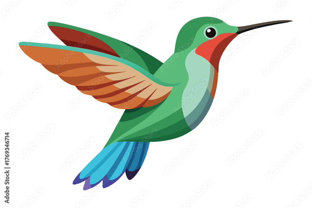 Obraz premium hummingbird vector in white background