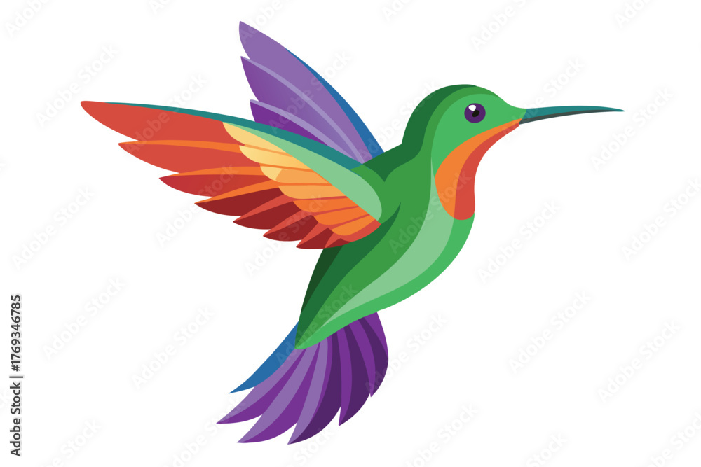 Obraz premium hummingbird vector in white background