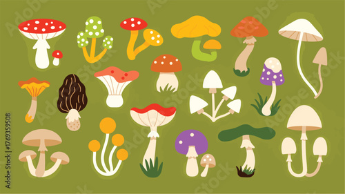 Collection of Diverse Cartoon Mushrooms on a Green Background fungi nature