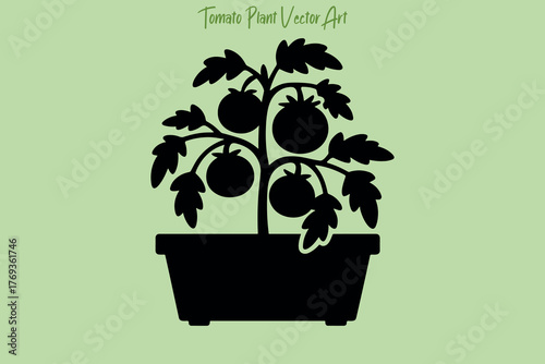 Tomato Plant Vector