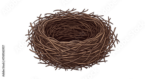 Empty natural bird nest crafted from twigs and grass, symbolizing home, new beginnings, and nature's intricate design
