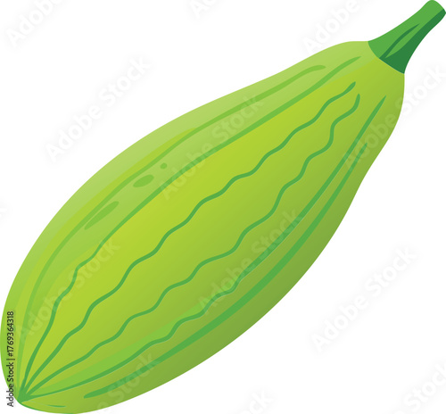 bitter gourd vector art