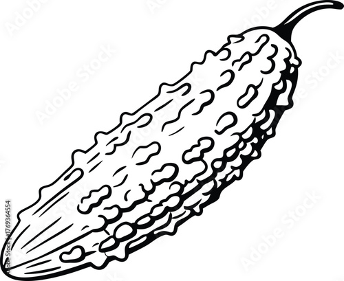 bitter gourd vector art