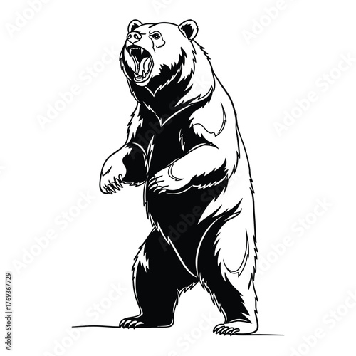 Fierce grizzly bear standing tall with mouth open