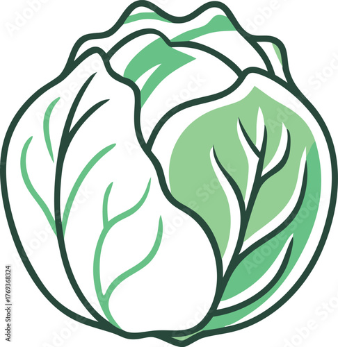 cabbage vector art with white background