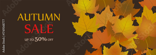 Autumn sale advertising banner design. Dark brown wide background with falling bright autumn leaves. Vector illustration