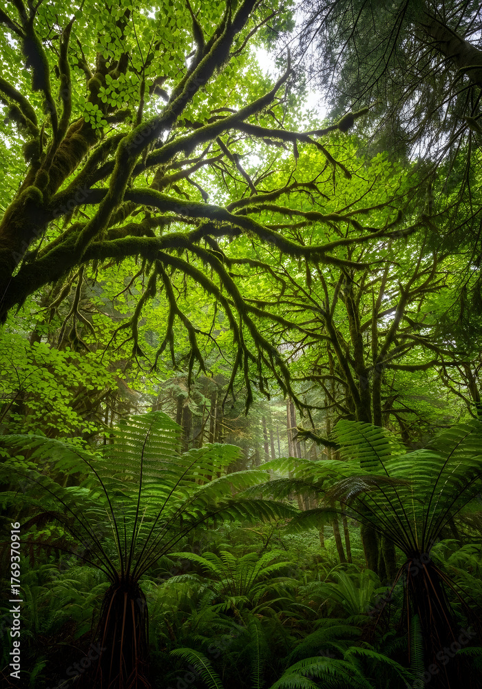 Fototapeta premium A verdant forest with lush foliage, showcasing the vibrant greens of nature's embrace. The canopy above filters light, and creates an ethereal scene.