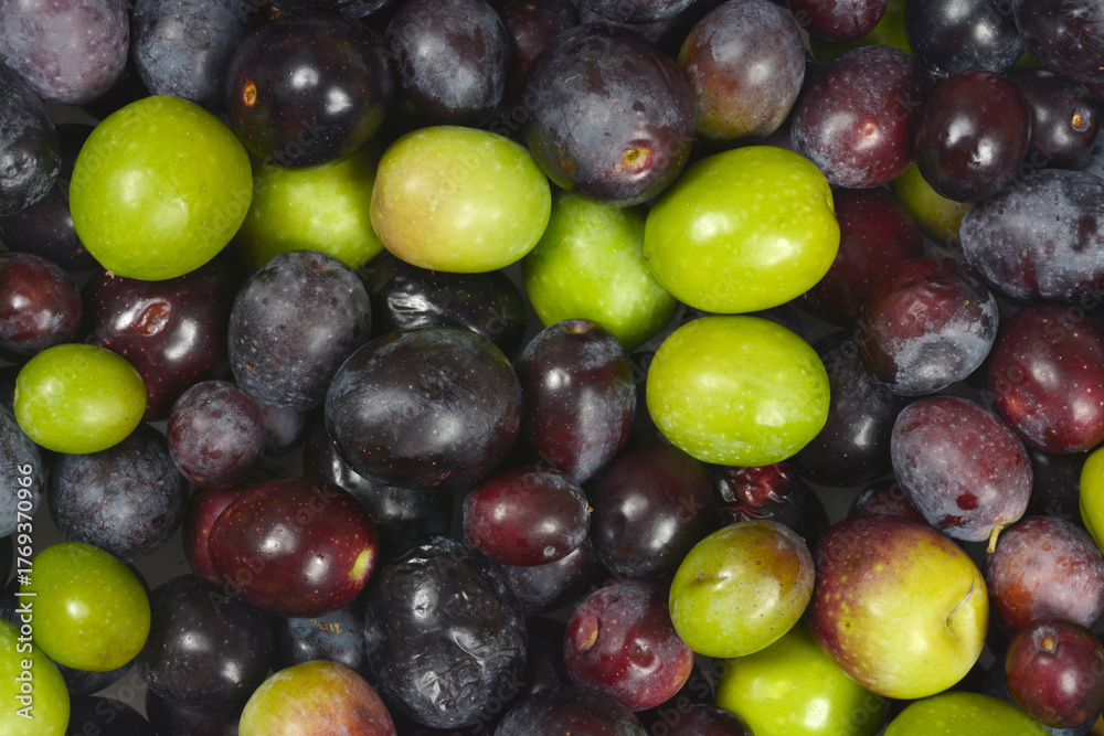 Obraz premium A horizontal, full-frame close-up of a tightly packed mix of fresh green, black, and dark purple olives.