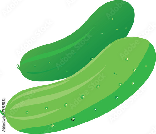cucumbers vector art