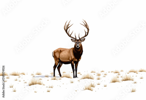 Majestic Deer Standing in a Serene Snow-Covered Landscape with Striking Antlers Against a Clear White Background in a Winter Wilderness Scene