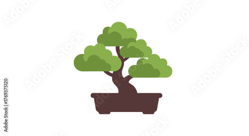 A stylized illustration of a green bonsai tree in a dark brown pot on a white background.