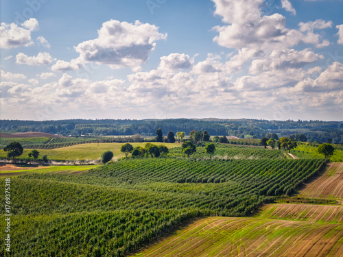 Wallpaper Mural Aerial landscape of autumn lakes and forests in the Kociewie region, Poland. Torontodigital.ca