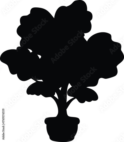 fiddle leaf fig tree silhouette
