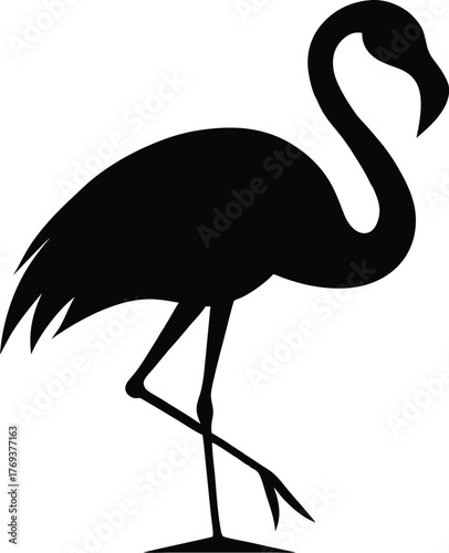 flamingo silhouette