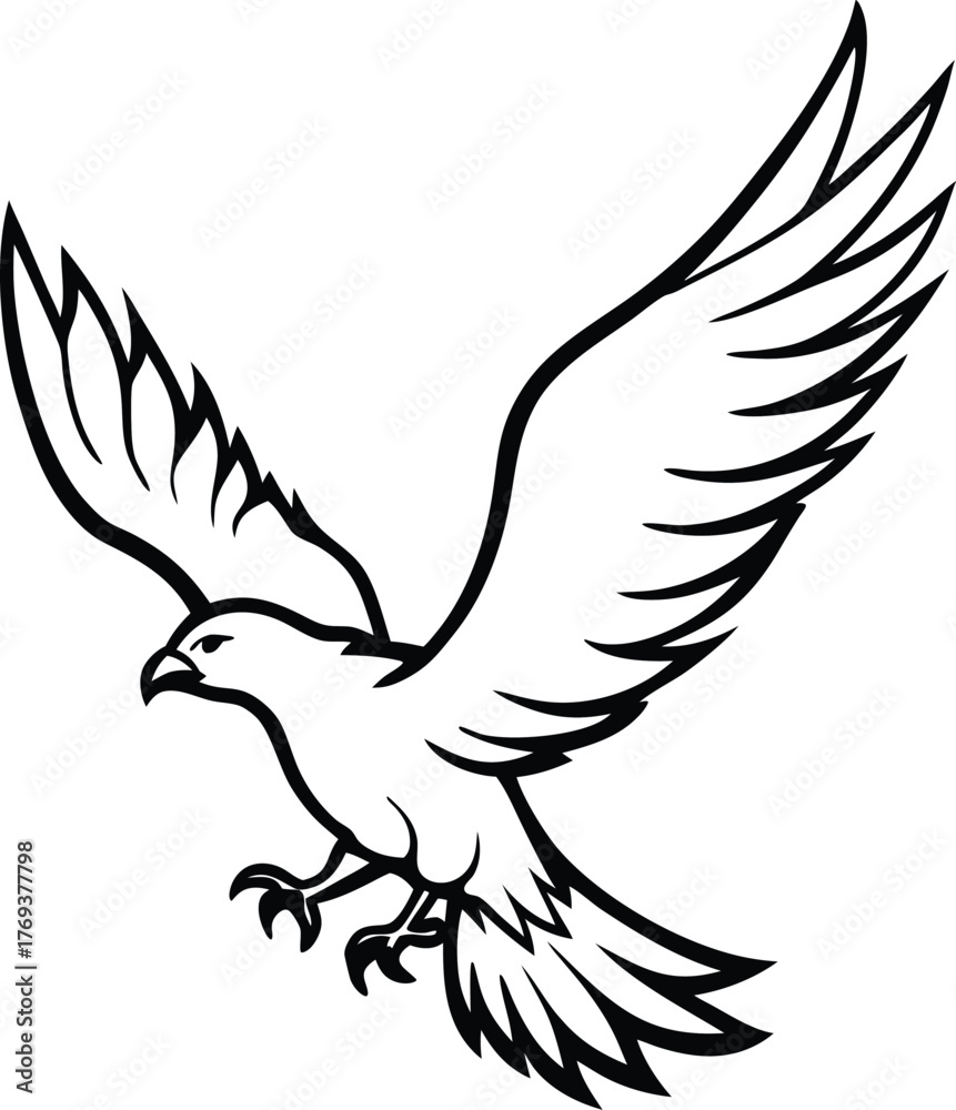 Obraz premium flying eagle bird silhouette