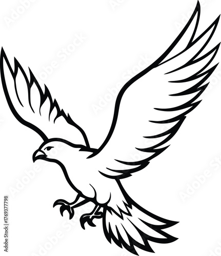 flying eagle bird silhouette