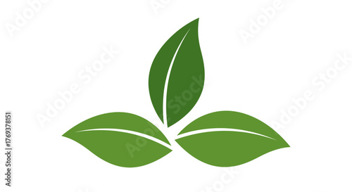 A stylized graphic design of three green leaves on a white background.