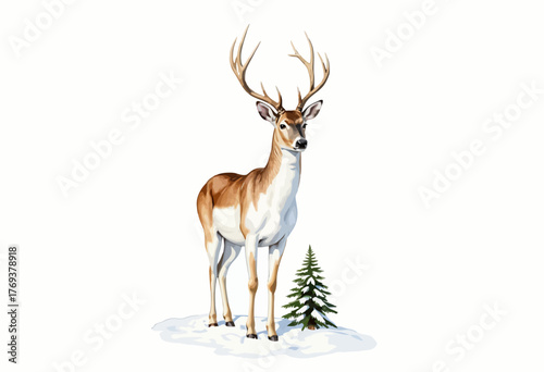 Majestic Deer with Elegant Antlers Posing Gracefully Beside a Small Evergreen Tree in a Serene Winter Landscape