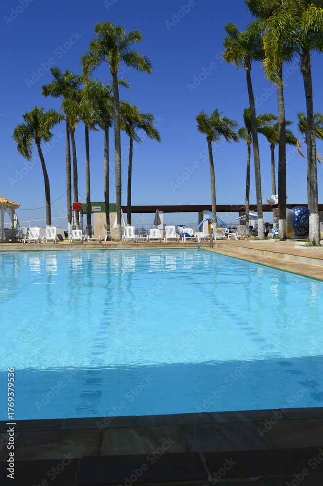 Obraz premium Verão com piscina e coqueiros