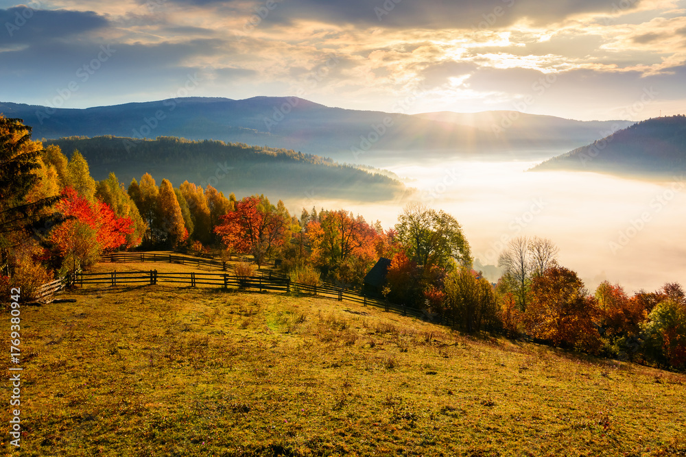 Naklejka premium rural field and garden in autumn at sunrise. mountainous countryside landscape of romania with fog in the distant valley. wooden fence on a hill. beautiful view of transylvania in morning light