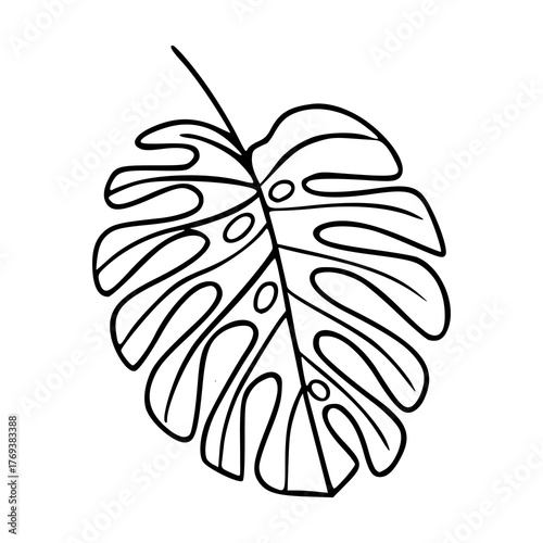 monstera leaf outline vector illustration