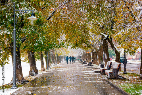 uzhhorod, ukraine - 29 nov 2020: linden alley in autumn first snowfall. leaves and snow cover wet street. trees in colorful foliage. empty benches on the embankment. beautiful urban landscape © Pellinni
