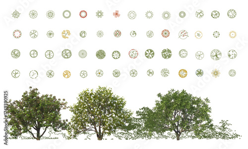 Top View Vector Icons of Trees and Plants for Floor Plan and Architectural Design Projects. CAD Drawings. Minimal style cad tree line side view. Garden landscape design.