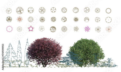 Top View Vector Icons of Trees and Plants for Floor Plan and Architectural Design Projects. CAD Drawings. Minimal style cad tree line side view. Garden landscape design.