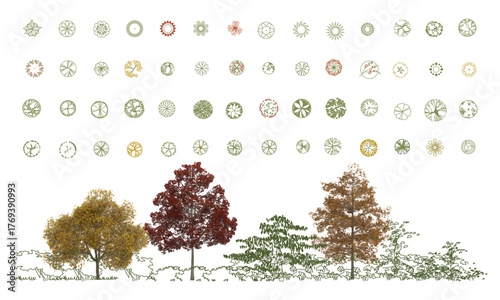 Top View Vector Icons of Trees and Plants for Floor Plan and Architectural Design Projects. CAD Drawings. Minimal style cad tree line side view. Garden landscape design.