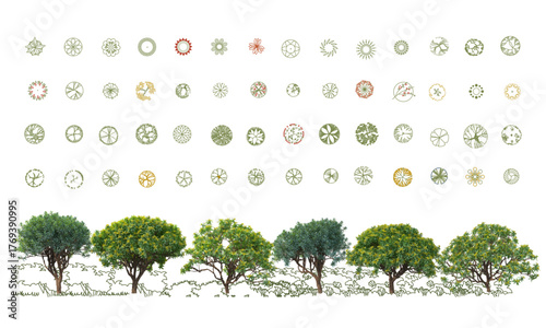 Top View Vector Icons of Trees and Plants for Floor Plan and Architectural Design Projects. CAD Drawings. Minimal style cad tree line side view. Garden landscape design.