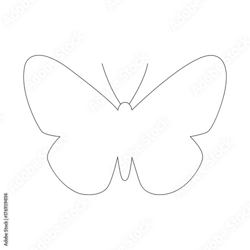 Delicate butterfly with symmetrical wings, , a symbol of transformation and beauty