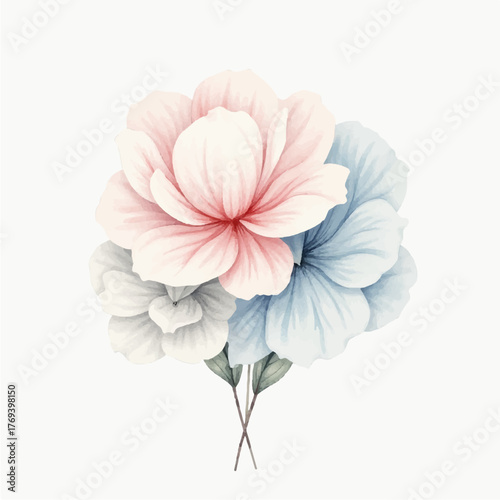 pink carnation flower