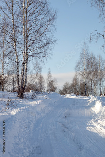 Wallpaper Mural A snow-cleared road in a birch forest on a clear winter day Torontodigital.ca
