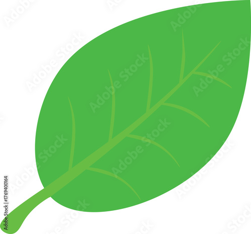Green leaf vector representing nature