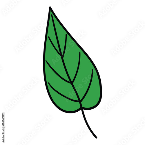 Hand-drawn cartoon green leaf on a white background.