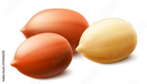 Set of shelled and unshelled peanuts, isolated on white background. For packaging with peanut butter, mix of nuts. Vegetable protein for vegetarians, healthy product. Realistic vector 3D illustration.