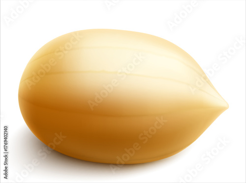 Peanuts isolated on white background. For packaging with peanut butter, a mixture of nuts. Vegetable protein for vegetarians, a healthy product. Realistic vector 3D illustration.