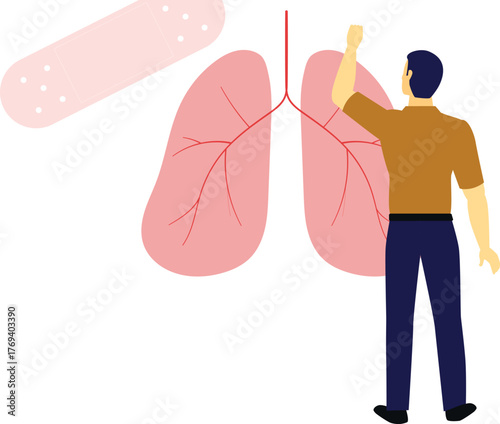 The boy pointing at lungs structure.