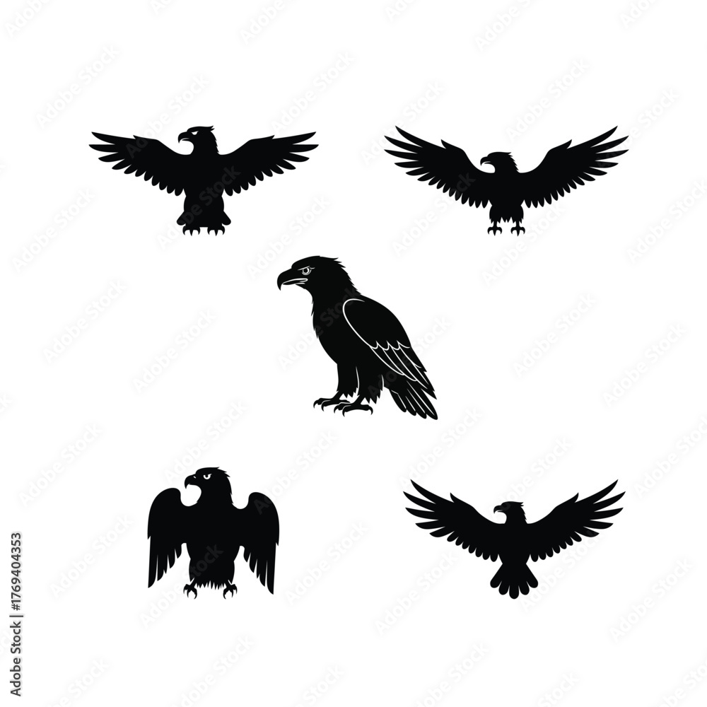 Obraz premium Soaring Eagle Vector Illustration