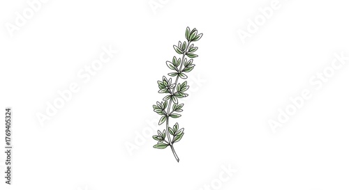 Wallpaper Mural Delicate Lavender Sprig - Botanical Illustration in Soft Grays on White. Torontodigital.ca
