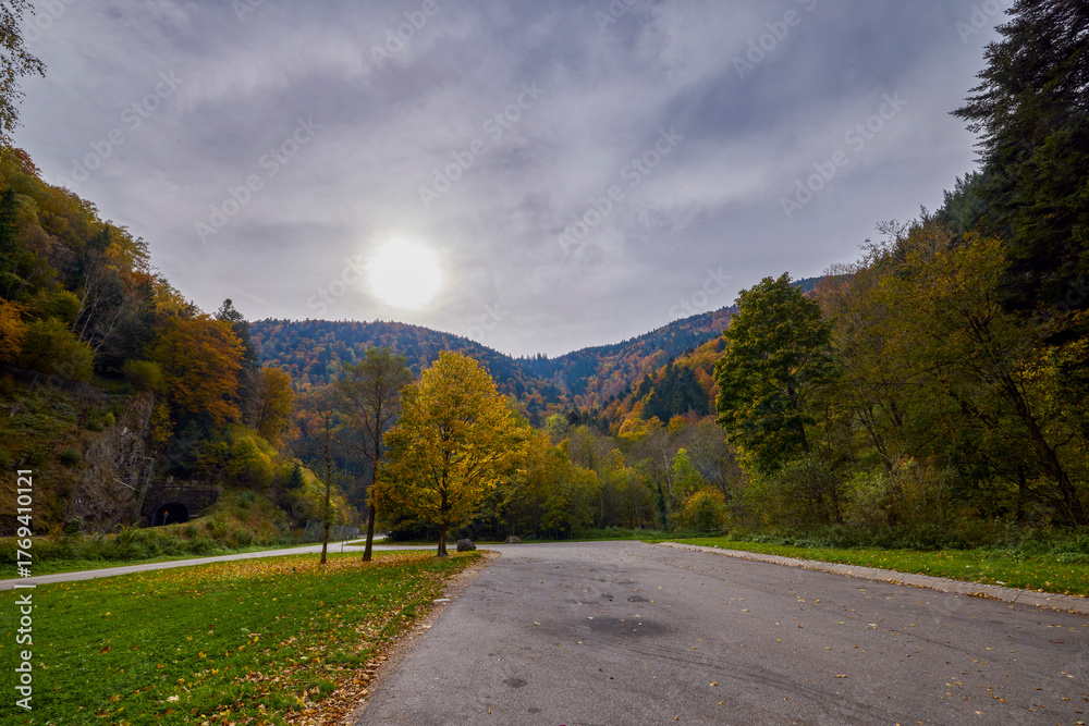 Fototapeta premium a mountain road during autumn with colorful trees